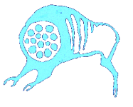 unnamed (8).png